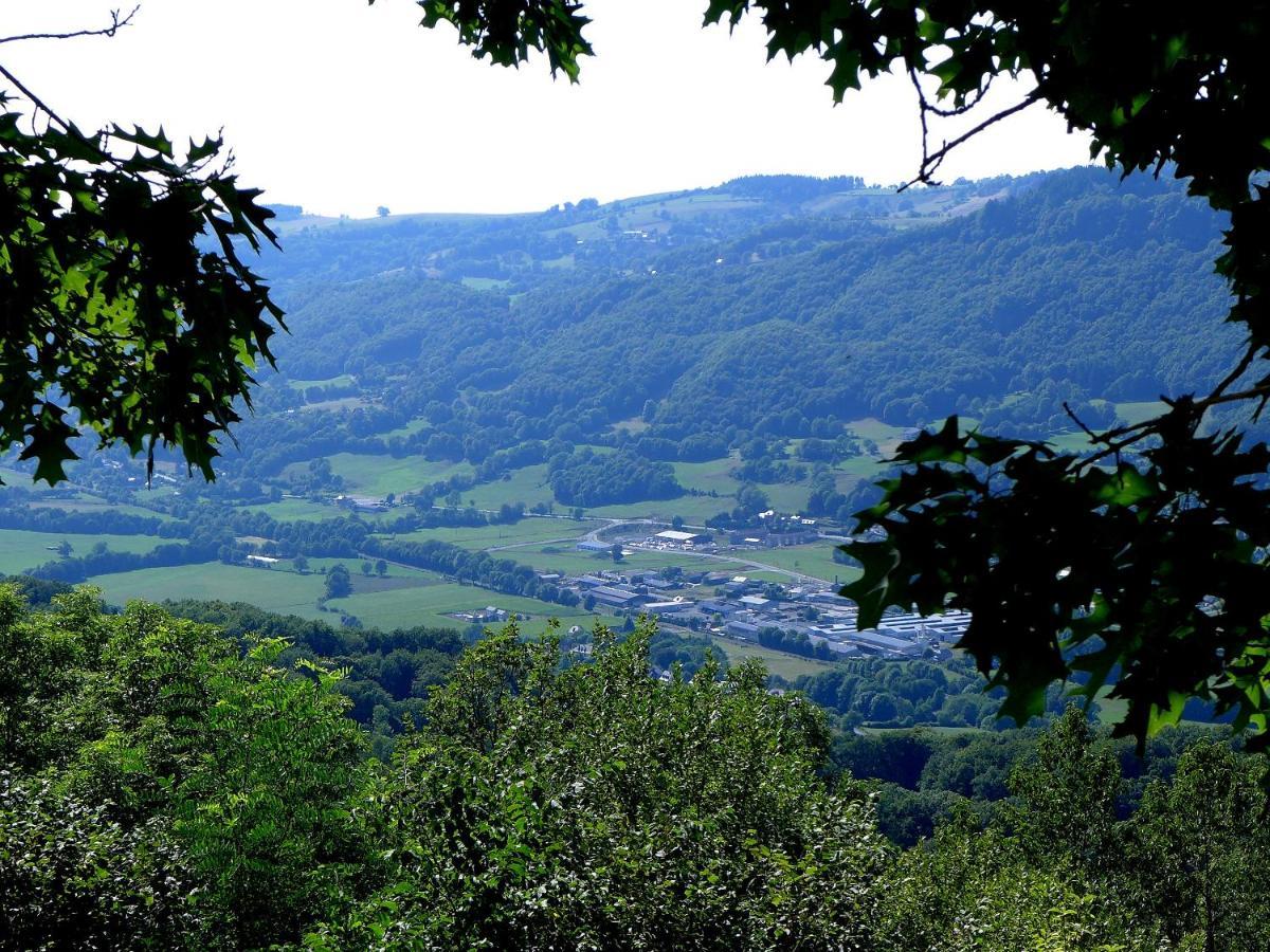 Hostellerie Saint Clément Vic-sur-Cère Esterno foto